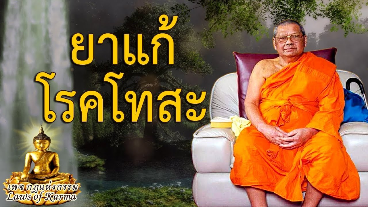 ยาแก้โรคโทสะ โดย หลวงพ่อฤาษีลิงดำ
