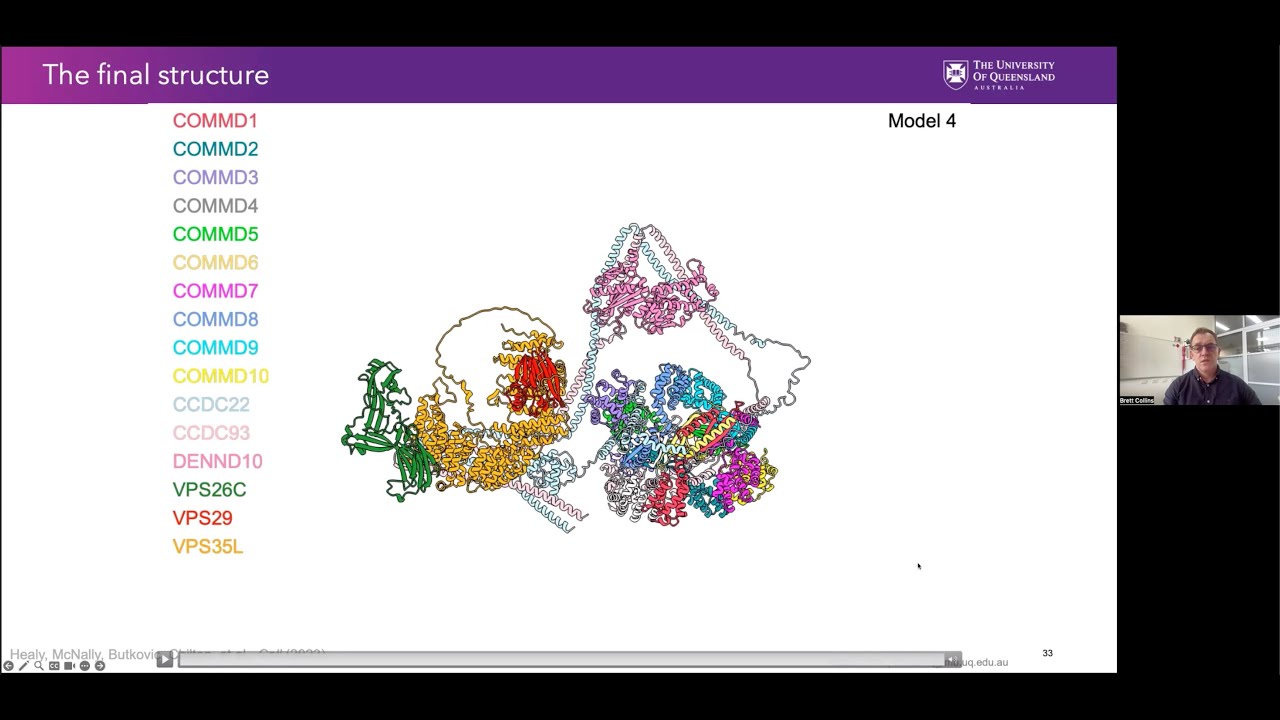 Structure of Commander complex mutated in RSS:combining crystallography, cryoEM & AlphaFold2