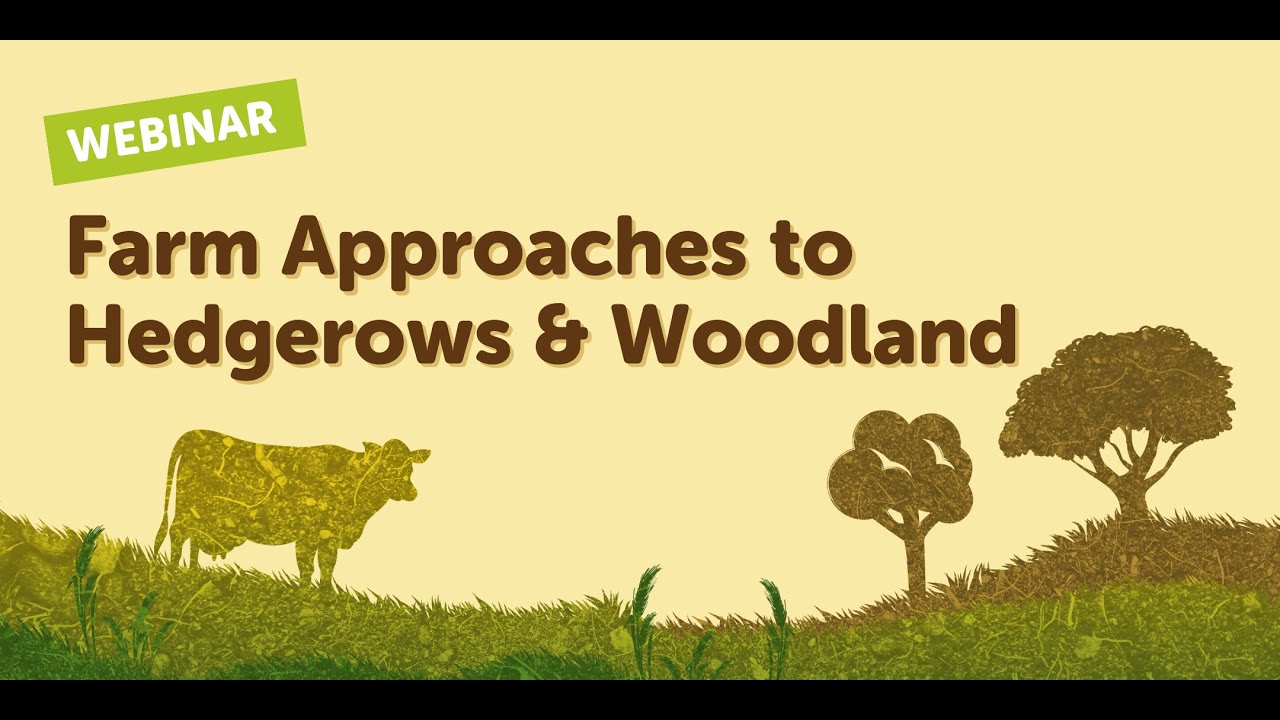 Farm Approaches to Hedgerows and Woodland