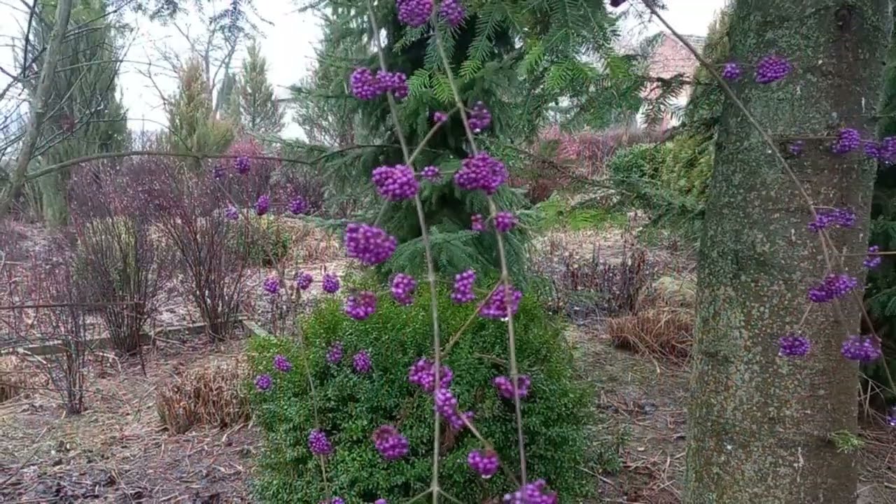 Koniec 2025 roku