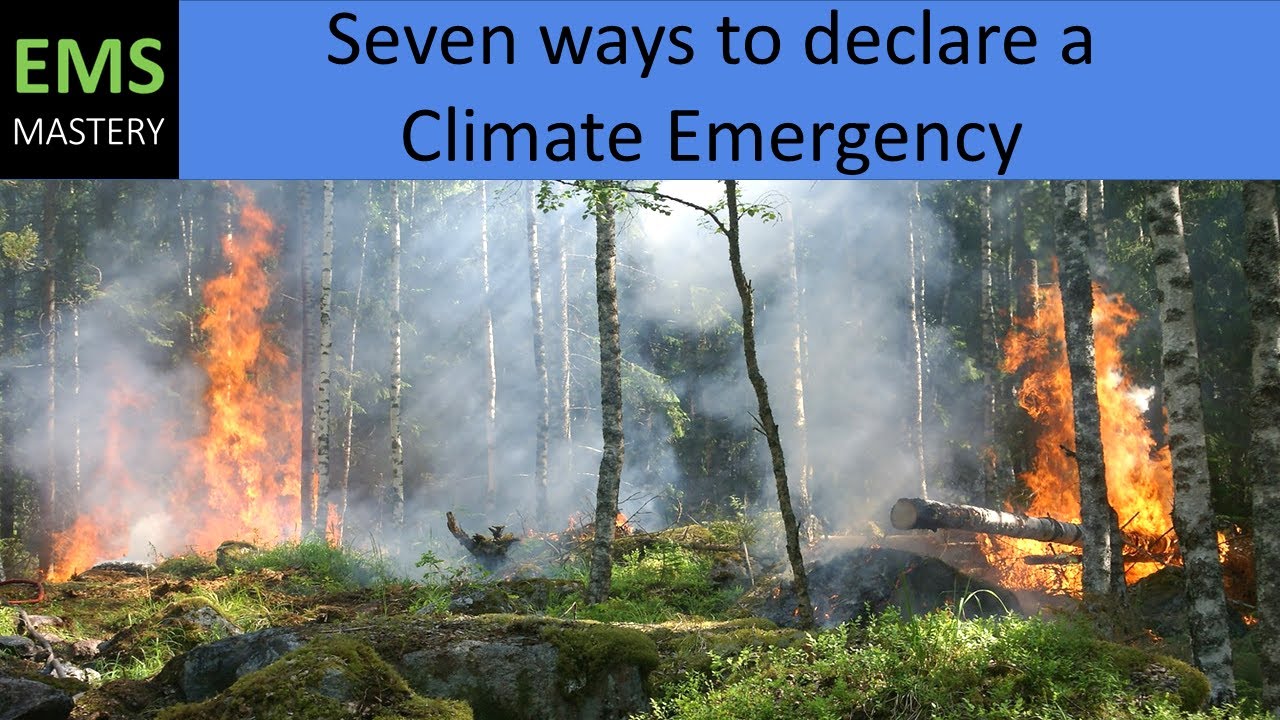 Seven Ways to Declare a Climate Emergency: How to take action now!