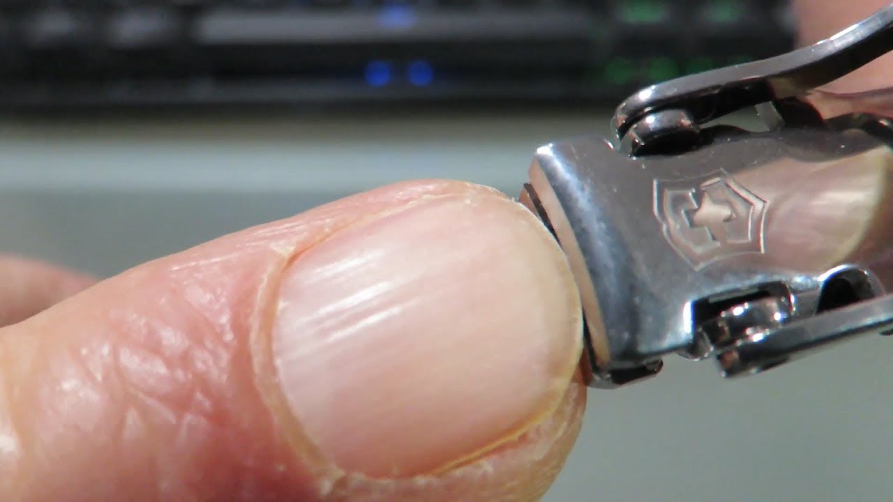 Victorinox NAILCLIP 580 [0.6463] : Best manicure multi-tool!