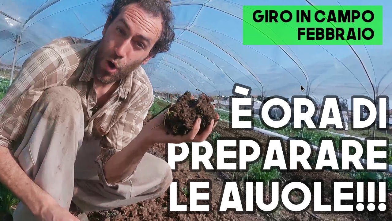 Logistica, nuovi acquisti, SERRA rigogliosa e PACCIAMATURE - Giro in campo Febbraio 2021
