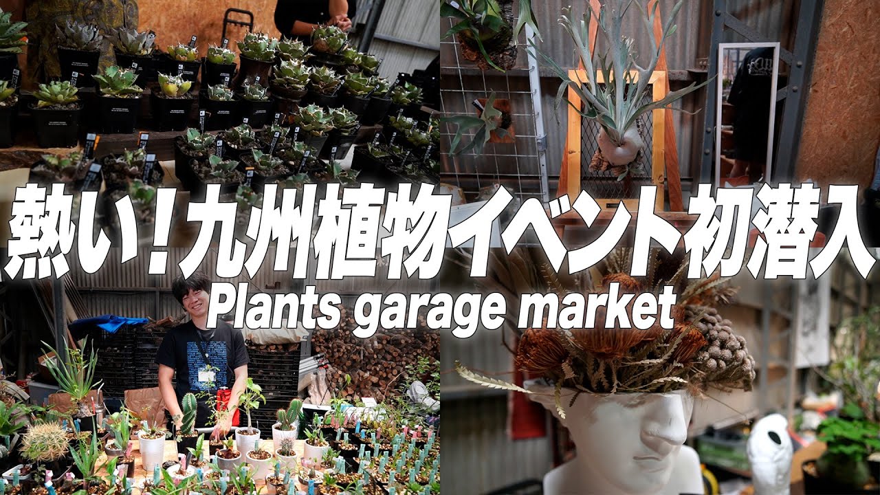 みんなで楽しめる最高の植物イベント行ってきた！[アガベ][ビカクシダ][塊根植物][多肉植物]