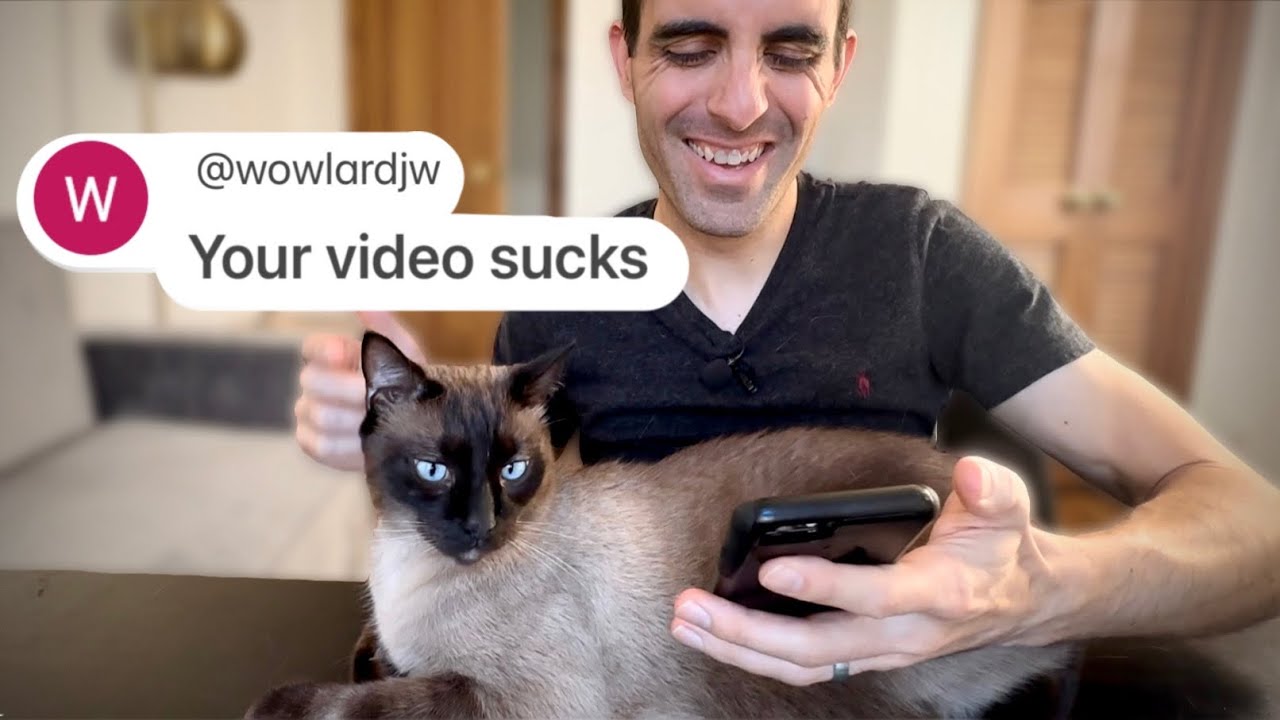Reading Mean Comments On My Cat Videos