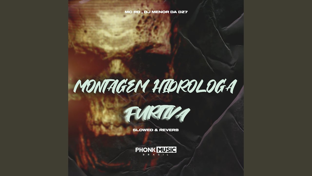 Montagem Hidróloga Furtiva