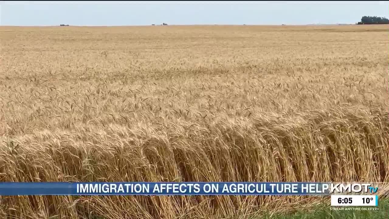 Reliance of North Dakota producers on migrant workers