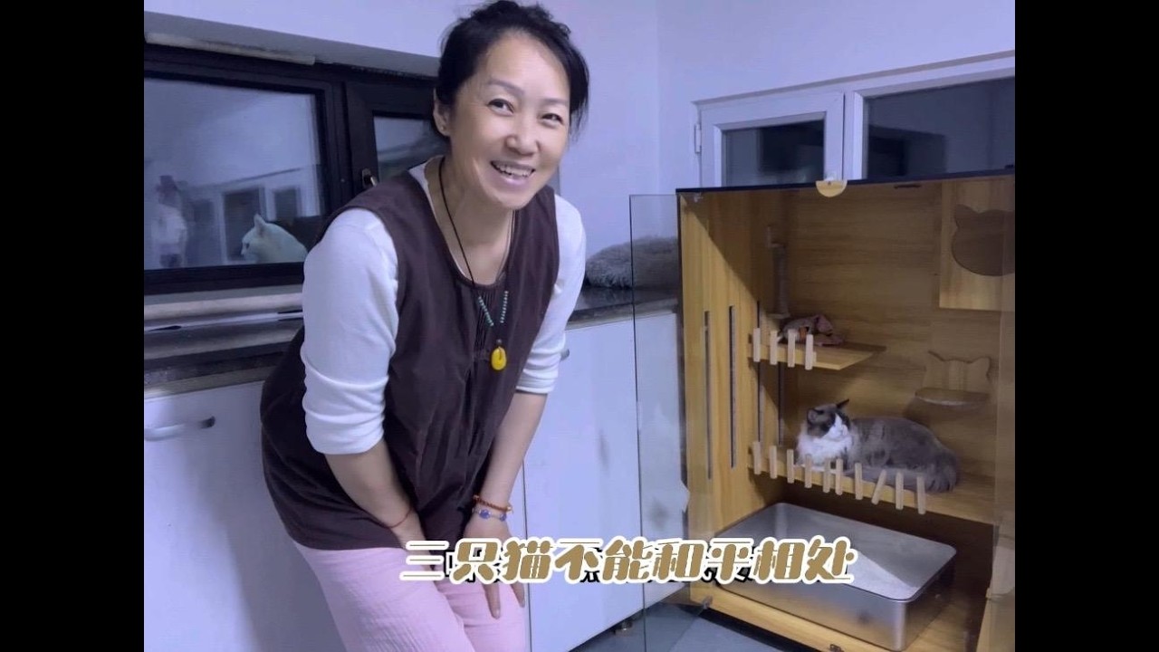为了防止猫乱尿，又买了两个猫砂盆，布布怕猫不怕狗，有点奇怪
