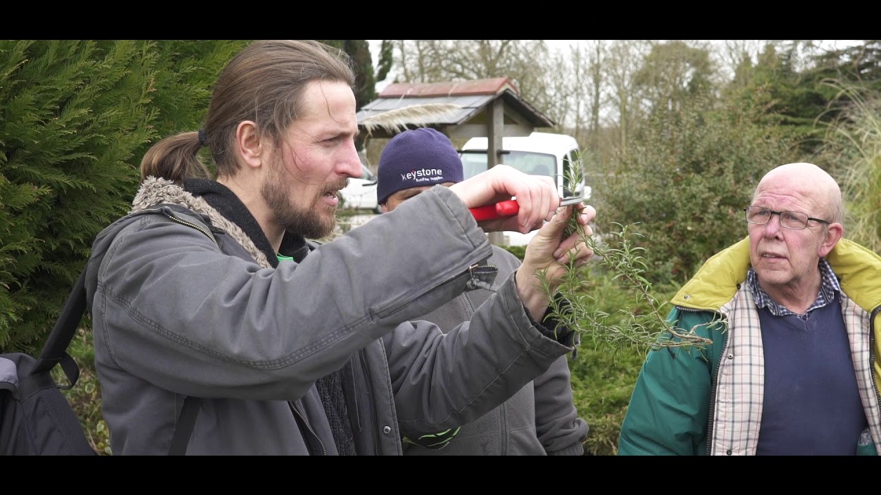 Emmaus Village Carlton Garden Project