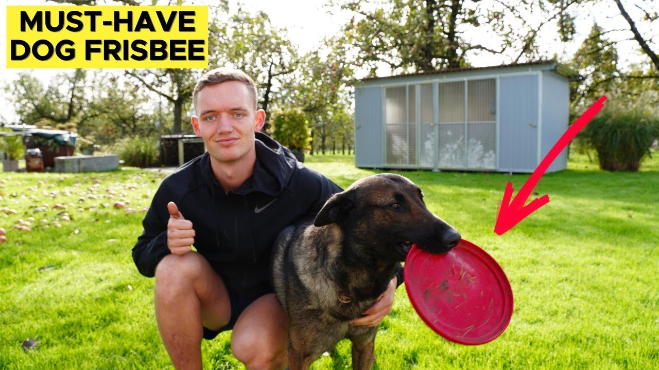 KONG Flyer: Best Durable Dog Toy for Outdoor Fun!