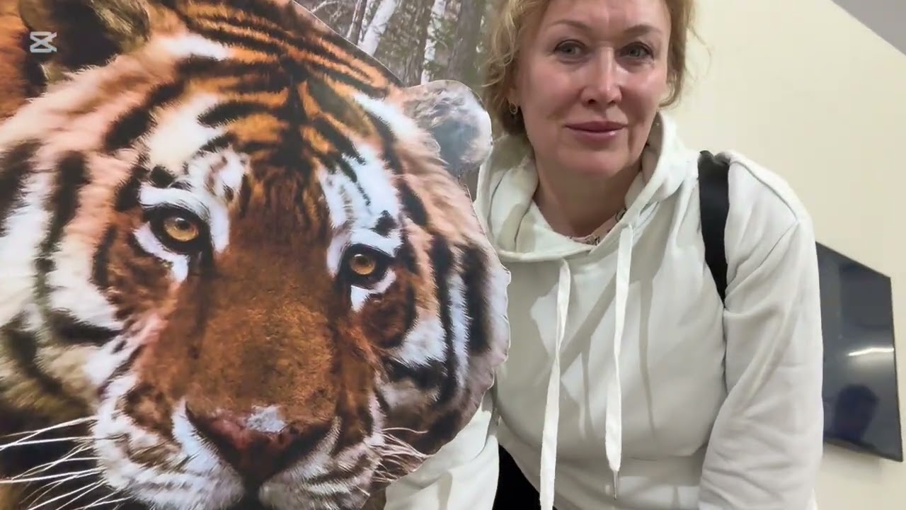 Зима в Москве/продолжение прогулки/Выставка в Манеже/