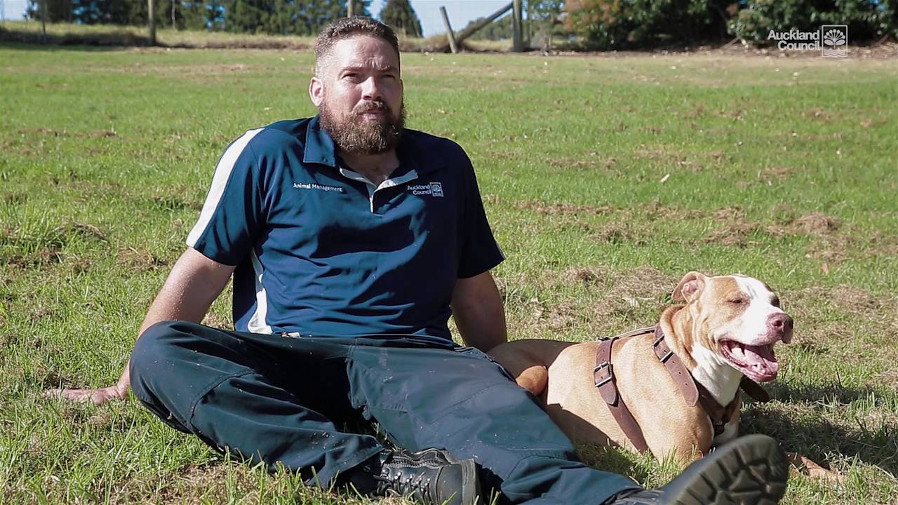 Dylan and Lennox | Auckland Council