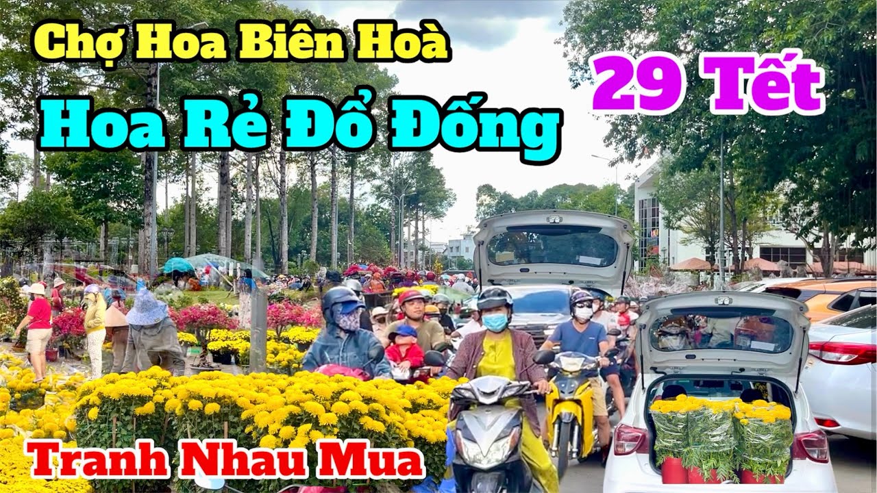 Hoa RẺ đổ đống tại chợ hoa biên hoà 29 tết 2026