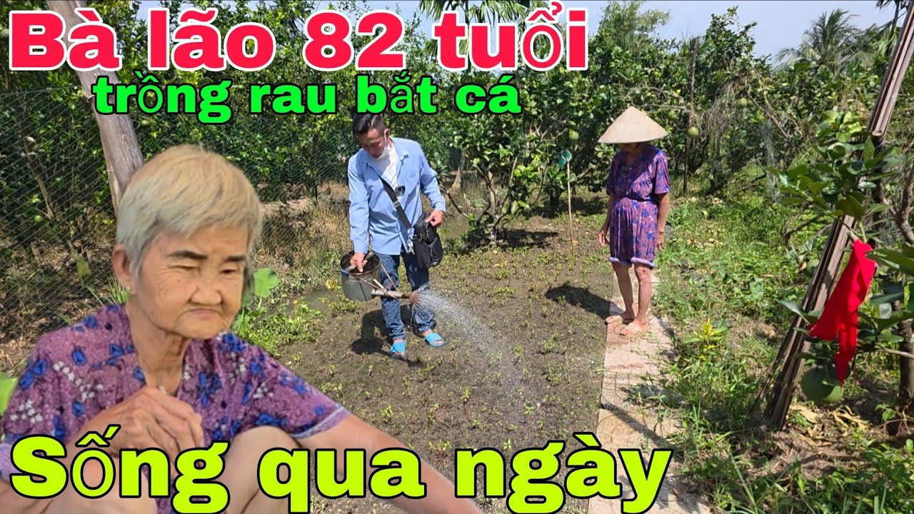 Bà lão 82 tuổi sống nơi hoang vu trồng rau bắt cá lây lất  qua ngày. | Nghĩa Phước vlog 