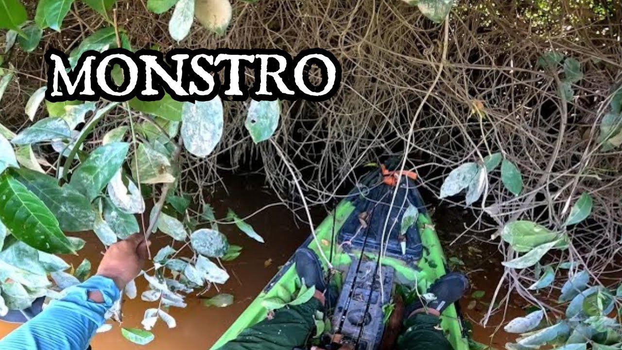 ENTRAMOS NO TERRITÓRIO DELES, PRECISA TER CORAGEM - Pescaria de Caiaque em Roraima