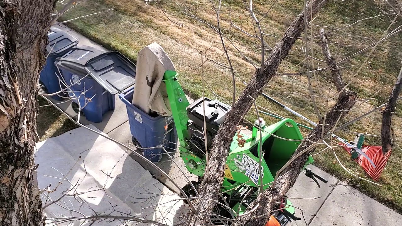 Clean Tree Pruning Operations