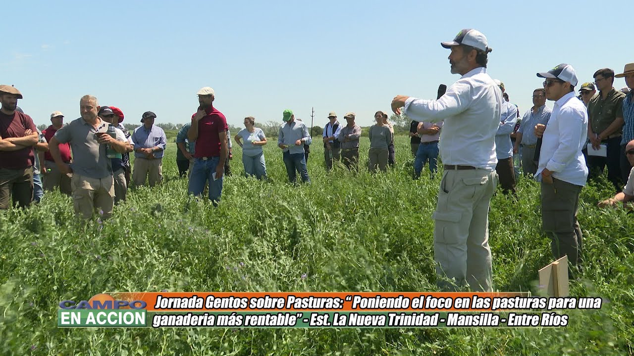Poniendo el foco en las pasturas - Martín Bigliardi