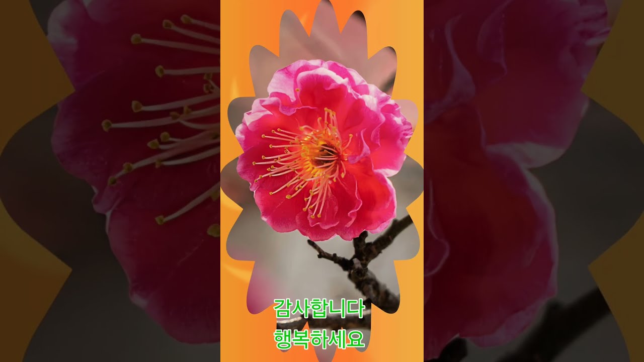 인연이라는 것에 대하여 시 김현태 낭송 송은정