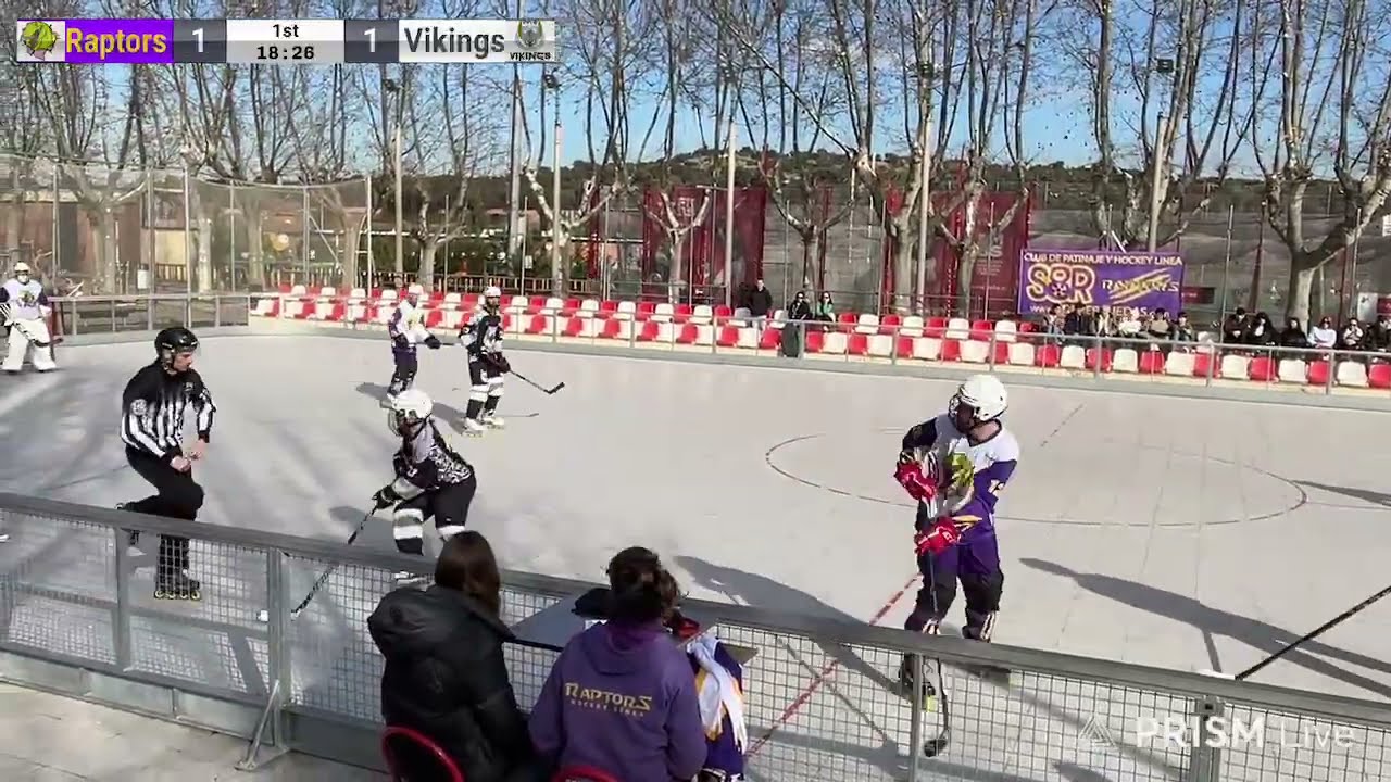 Senior 1ª División -  Raptors vs Vikings
