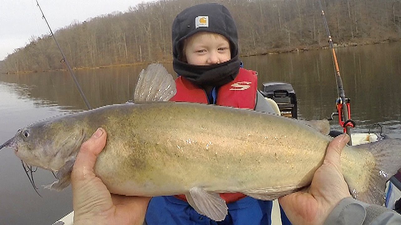 How to catch catfish in winter - Winter fishing for catfish - Catch catfish in a lake