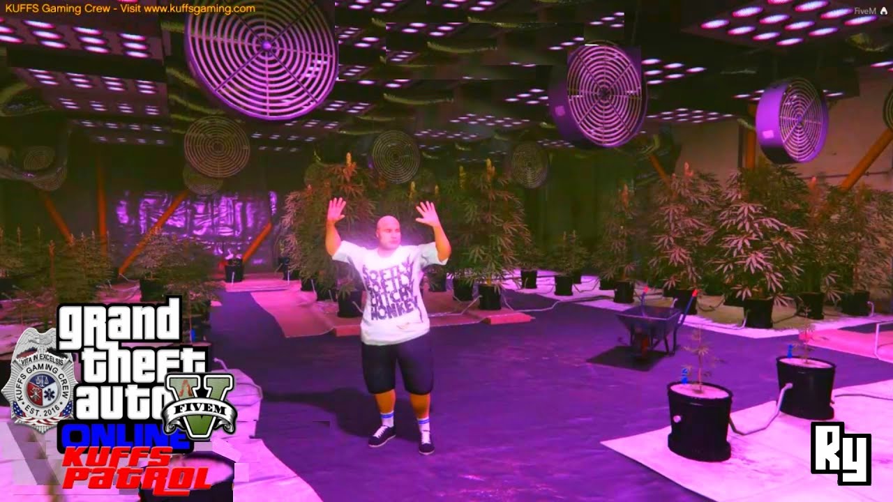 GTA5 FiveM Kuffs Police Roleplay (Part Time Work: Billy and the Weed Farm)
