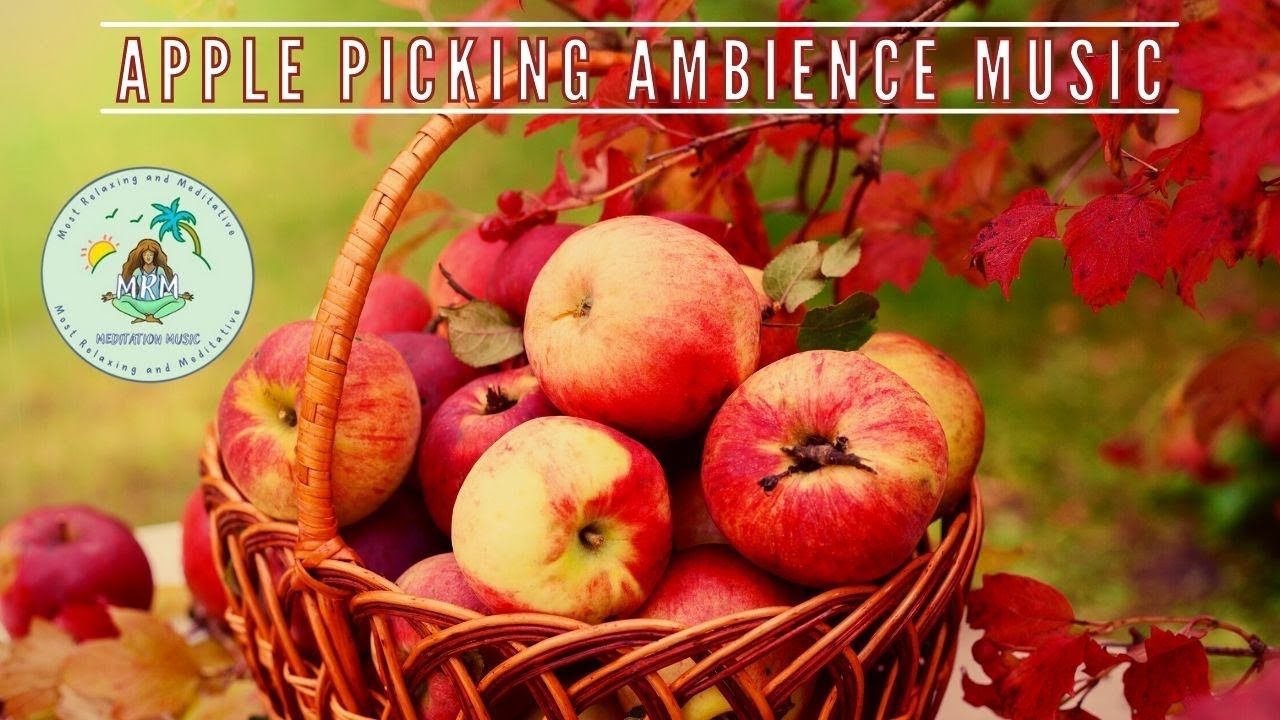 Apple Picking Ambience Music | Hot Apple Cider, Apples, Autumn