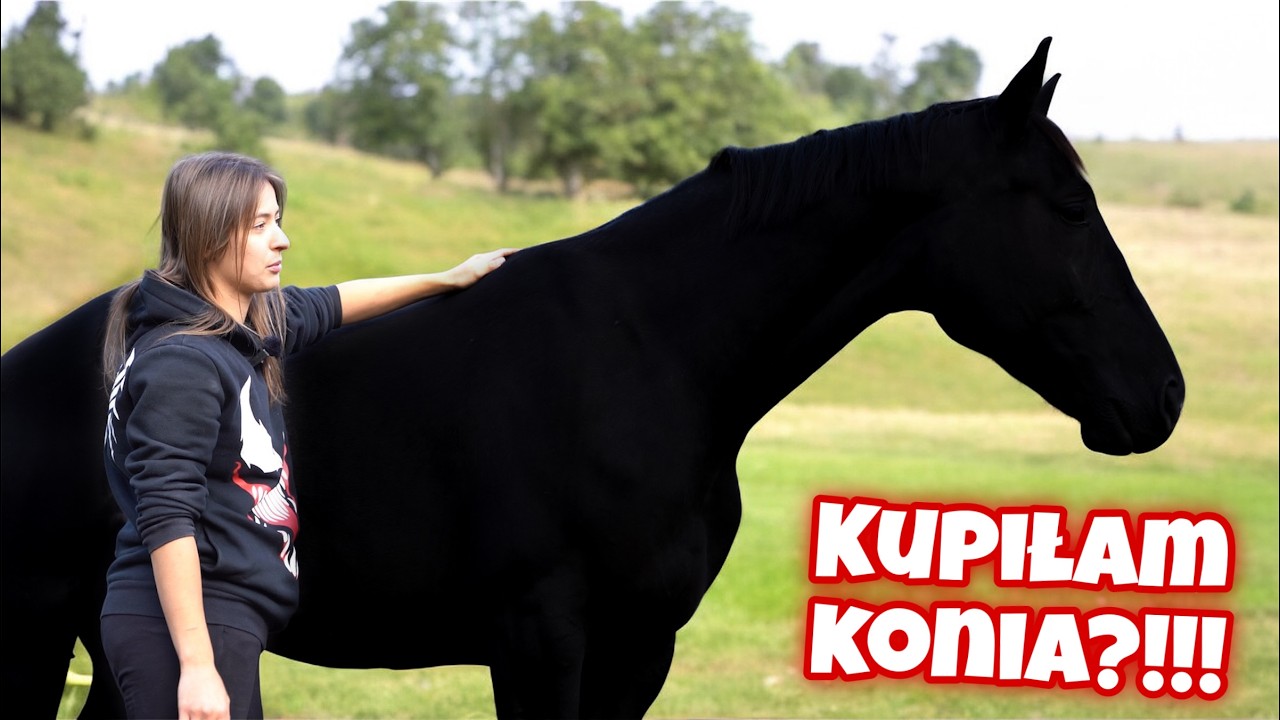 NIESPODZIANKA!