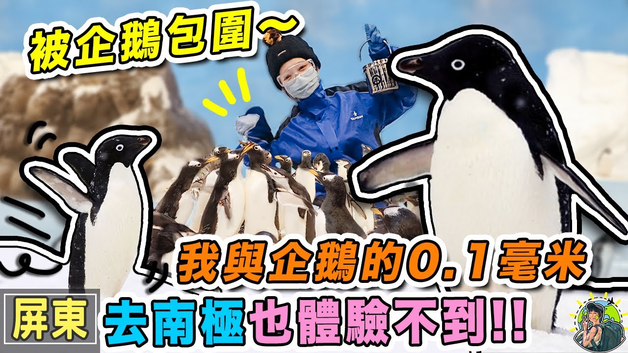 一日企鵝飼育員！你也想被企鵝包圍嗎？去海生館與小白鯨睡一晚！ | 屏東旅遊