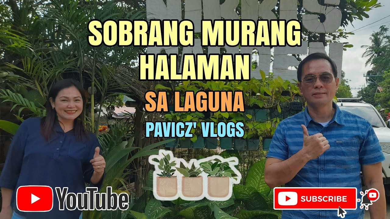 Plant Hunting ng Sobrang Murang Halaman ni Konsi Plantita | PAVICZ' VLOGS