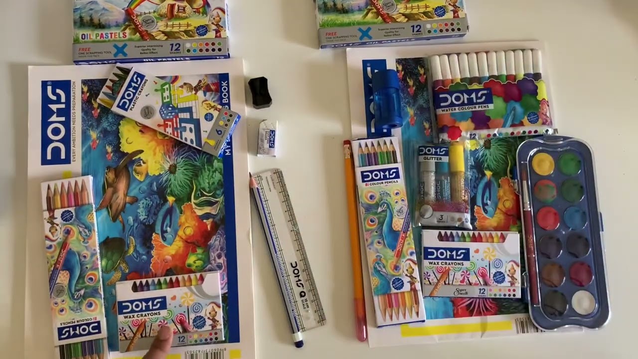 Doms art strokes kit 149 vs Doms painting kit 199 | Which is better? Art supplies for beginners