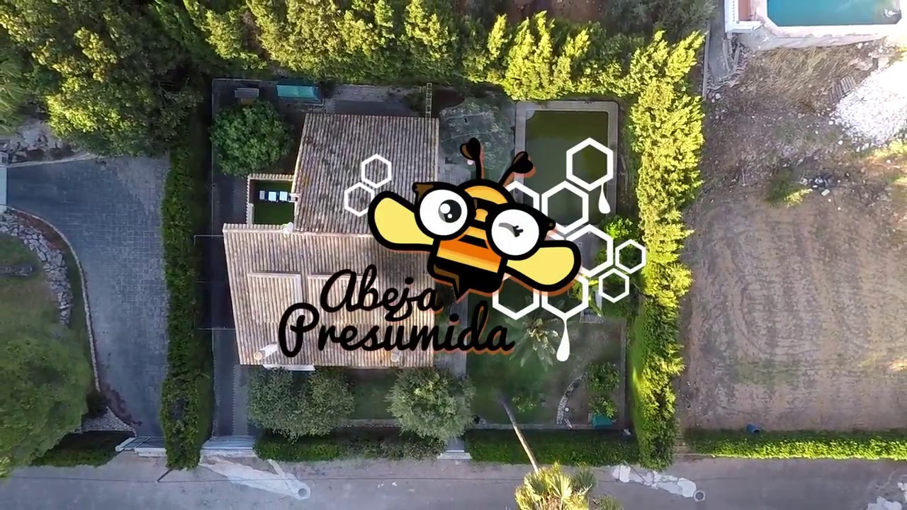 Bienvenido a ABEJA PRESUMIDA  🐝🧡🎥