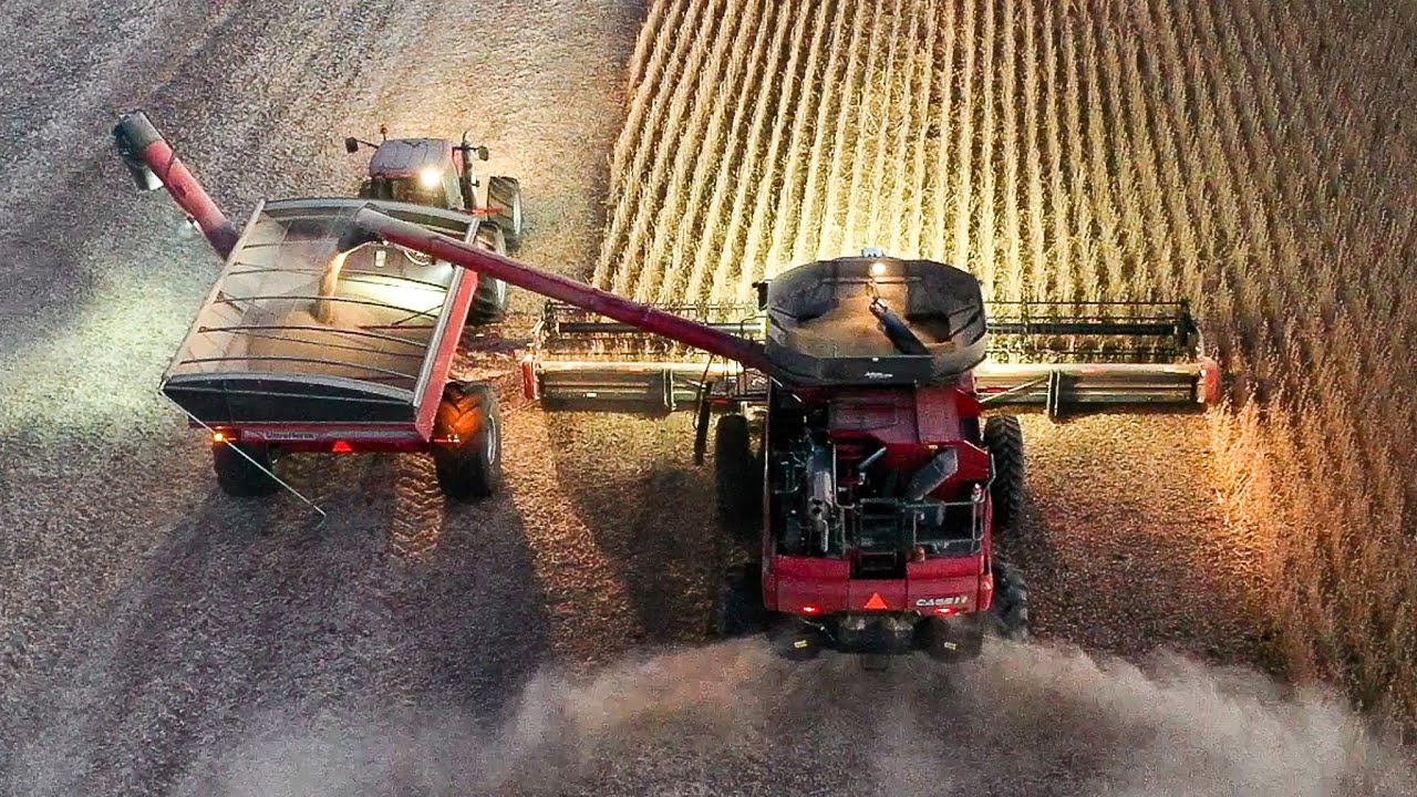 South Dakota Soybean Harvest 2022 Drone Video Footage