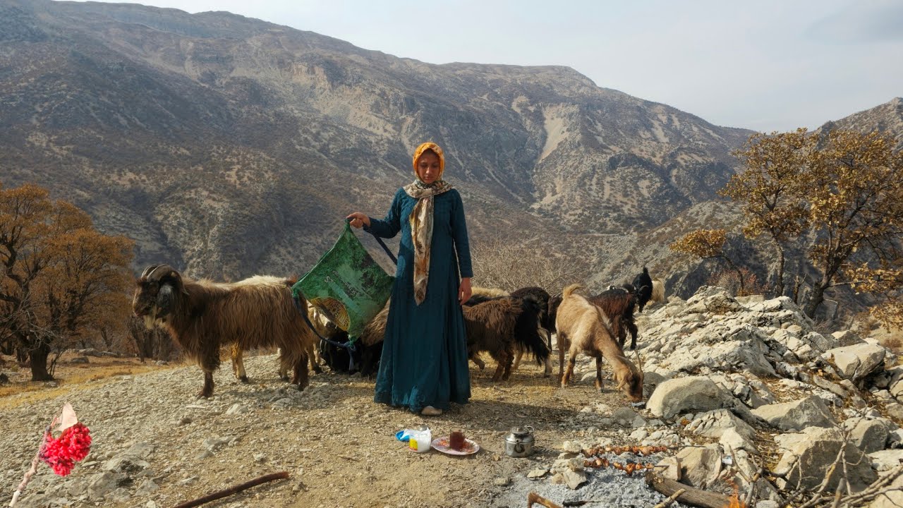Nomadic life: dangerous heights wild Zagros Mountains  nomadic girls following sheep cloudy weather