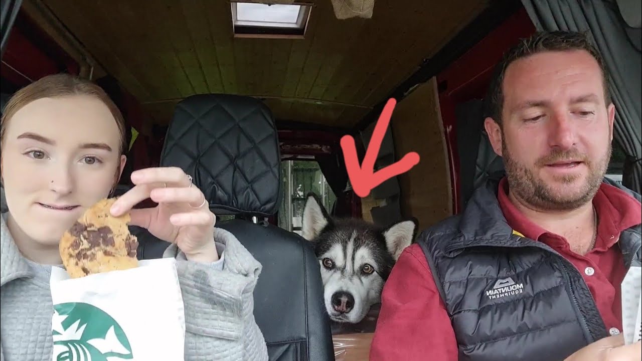 Хаски и Дочка снова вместе!