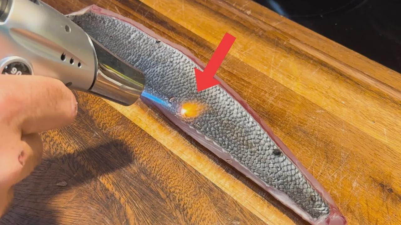 Pêche, préparation et dégustation du Rainbow Runner cru au feu de bois