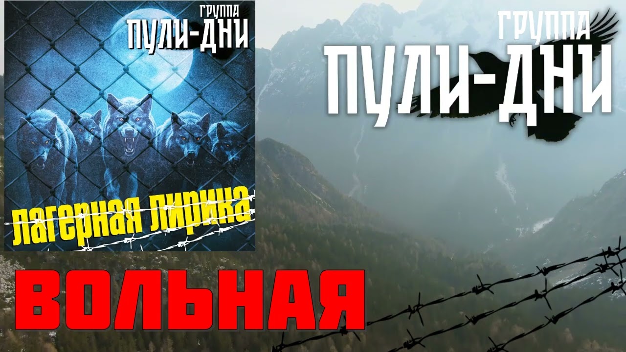 Группа Пули Дни   Вольная