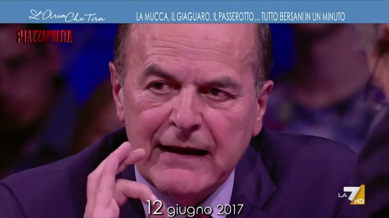 La mucca, il giaguaro, il passerotto... tutte le metafore di Pier Luigi Bersani in un minuto