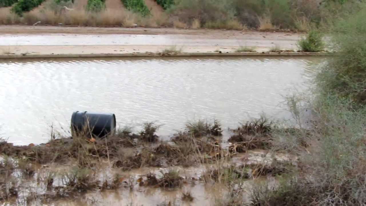 riadas almendricos canal del trasvase desbordado 3