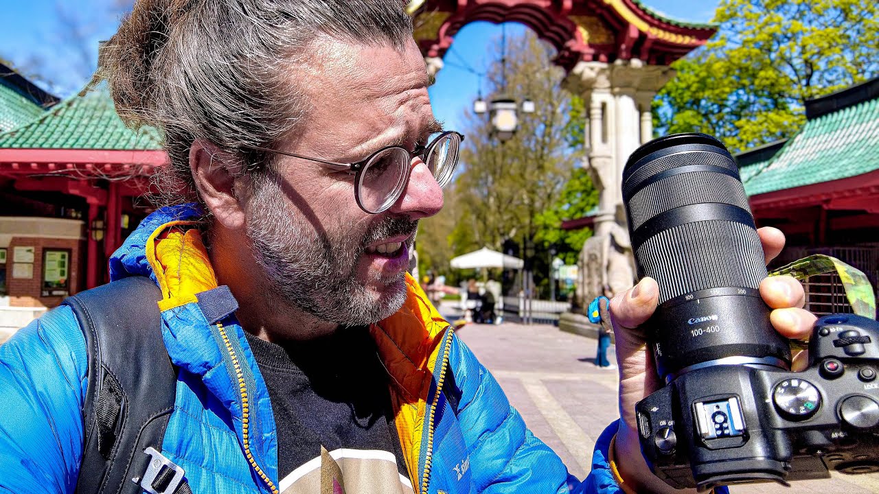 Das Canon RF 100-400 im Zoo + Test