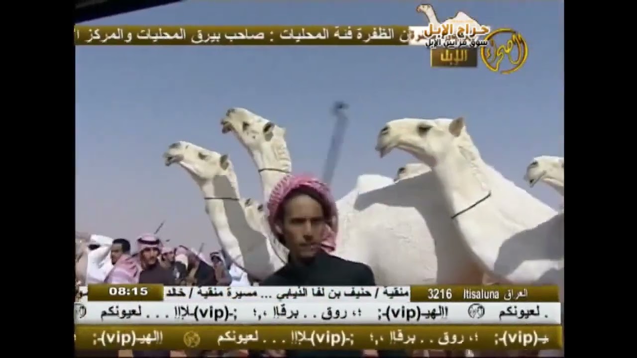  مسيرة منقية 2012 1432 