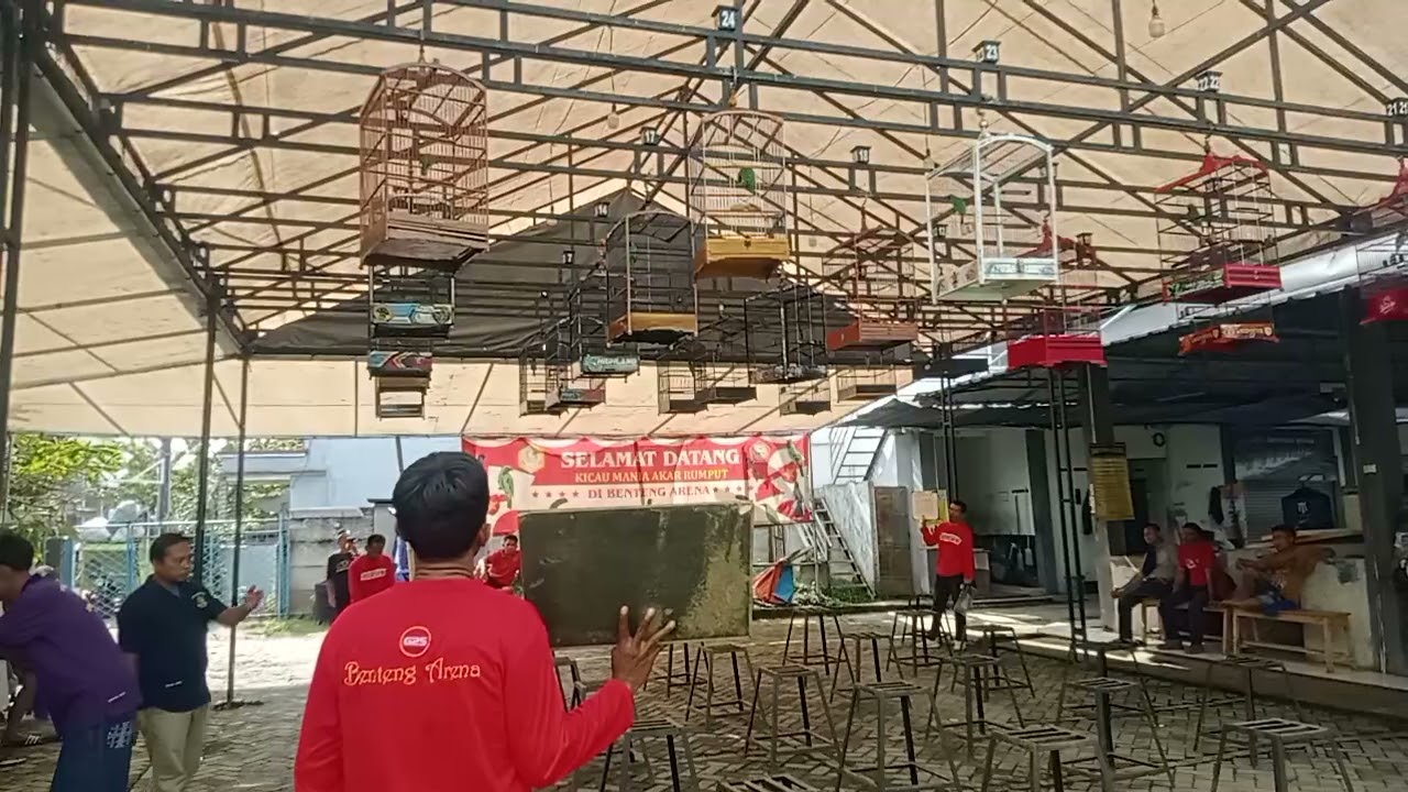 Gantang cucak ijo