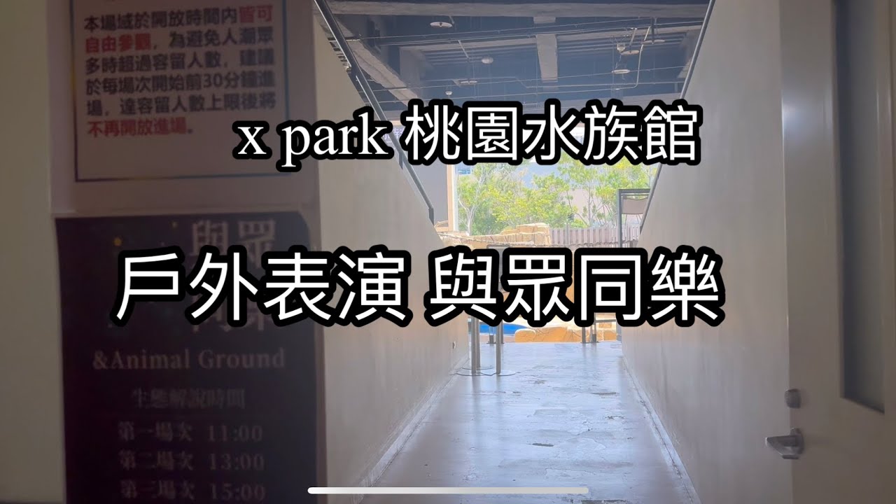 X park 桃園水族館 戶外表演與眾互動