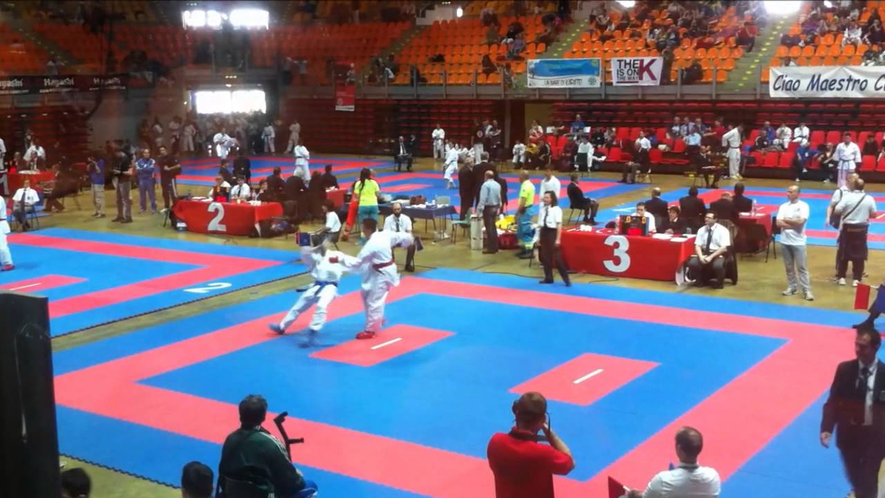 THE BEST OF KARATE jendoubi