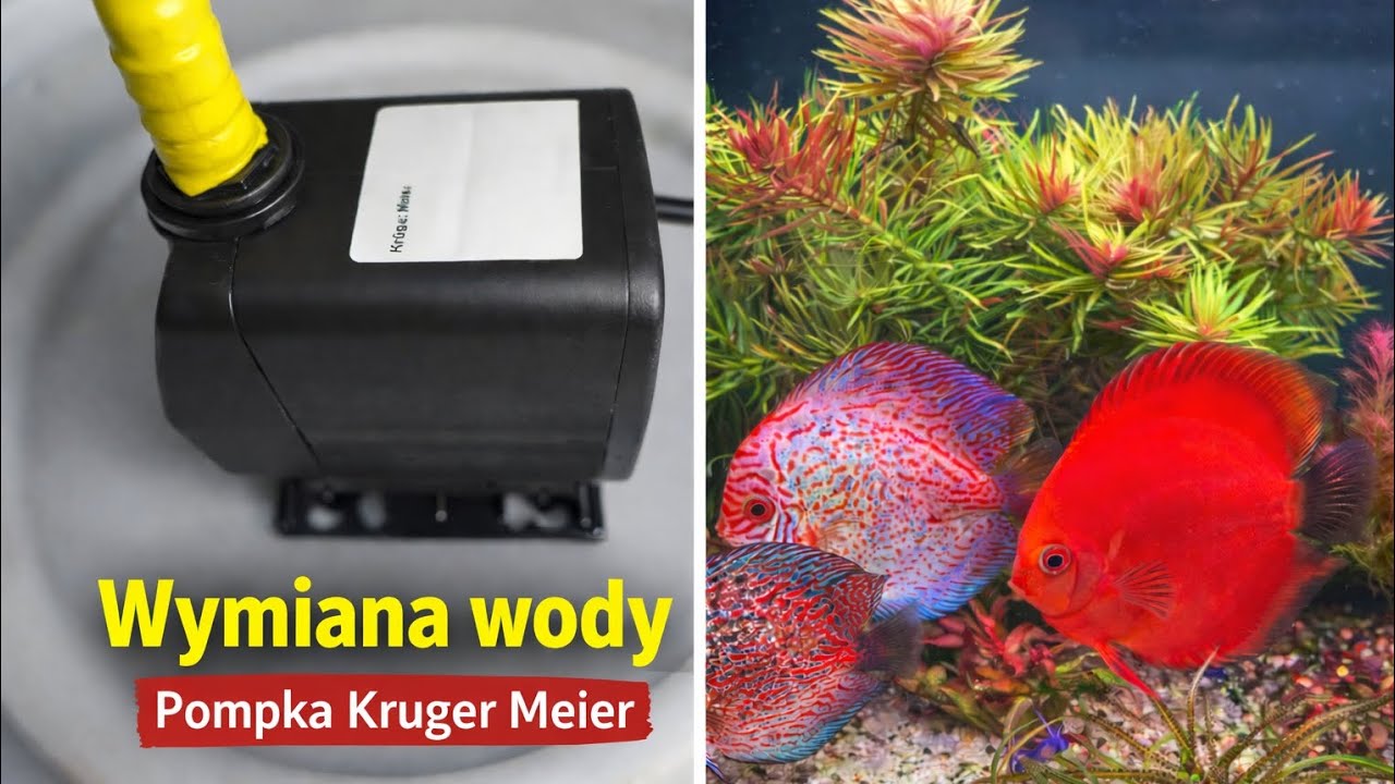 Pompka Kruger Meier w praktyce-podmiana wody....