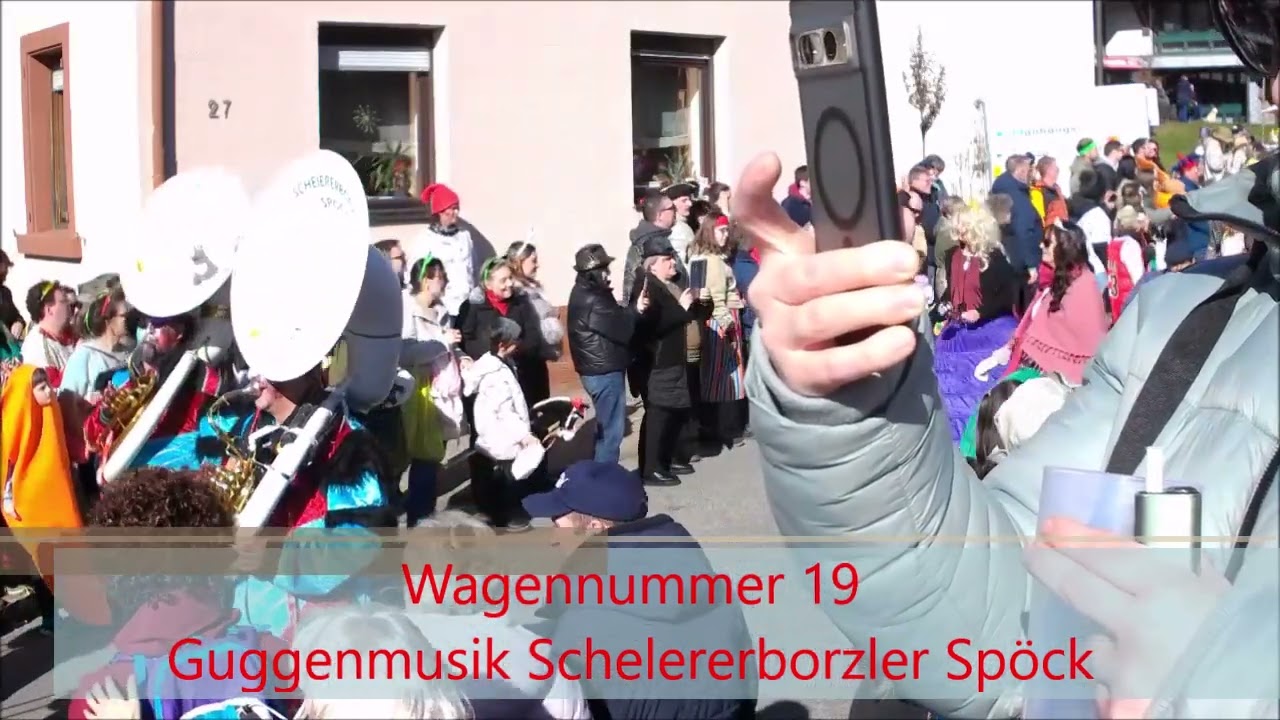 Fastnachtsumzug Dahn 2025 Teil 2 von 5