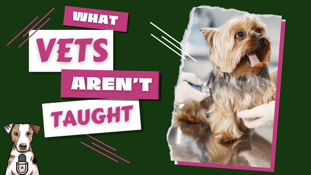What Vets Aren't Taught Part 3 with Dr. Joyce Liy