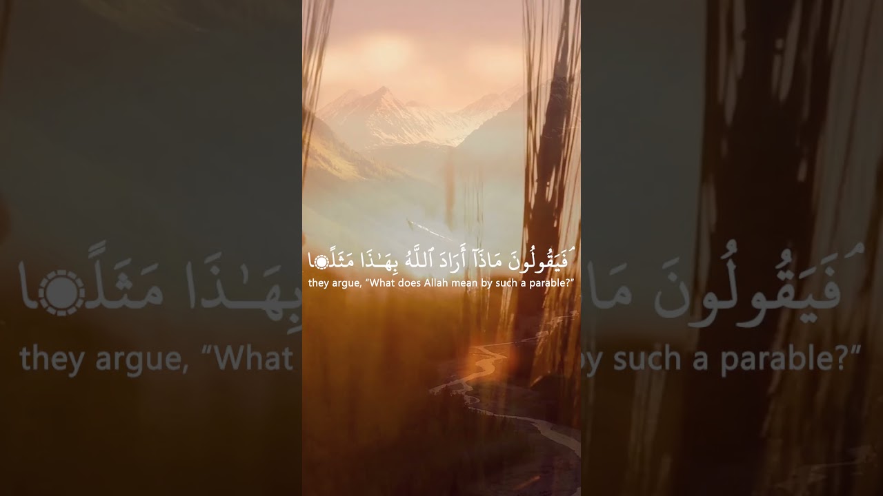Listen Quran Daily | Episode 7
