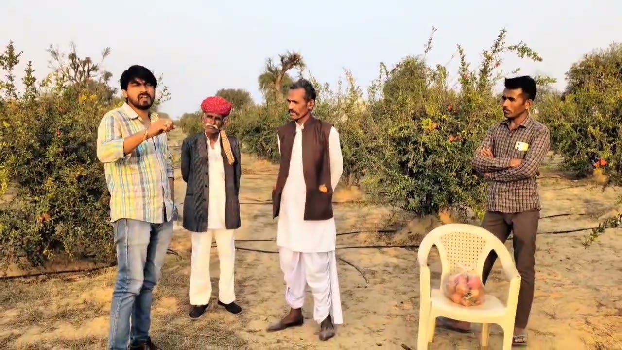 #जोधपुर जिले का एक ऐसा #गांव जहाँ #मरुस्थल मे लगा रखा है #सोना 🍒🍒