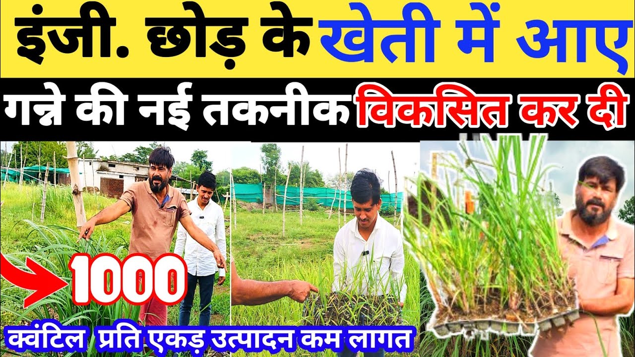 इंजीनियरिंग के 1 करोड़ पैकेज को छोड़ की खेती।गन्ने की नई तकनीक विकसित।1000 क्वंटील उत्पादन का राज।