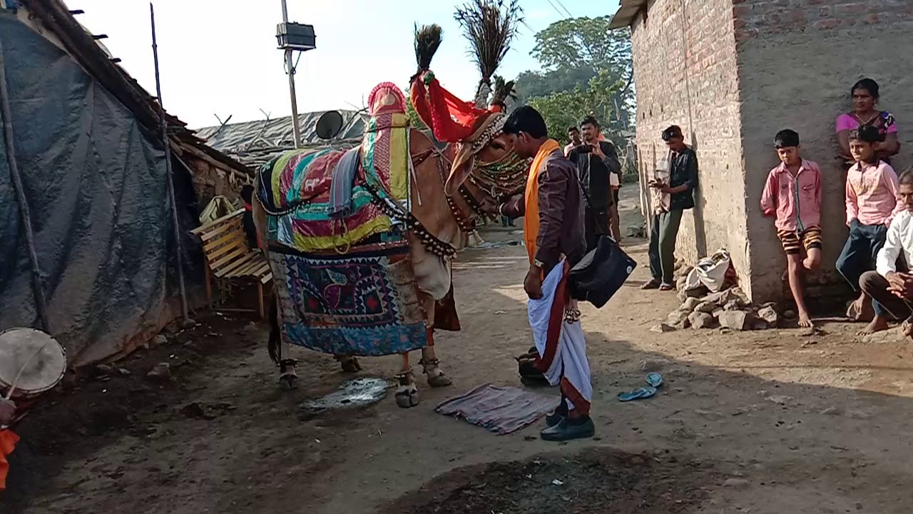 खूप धमाल केली मार्की खु. गावात नंदी आणि नंदीवाल्या दोन विनोदी भावांनी